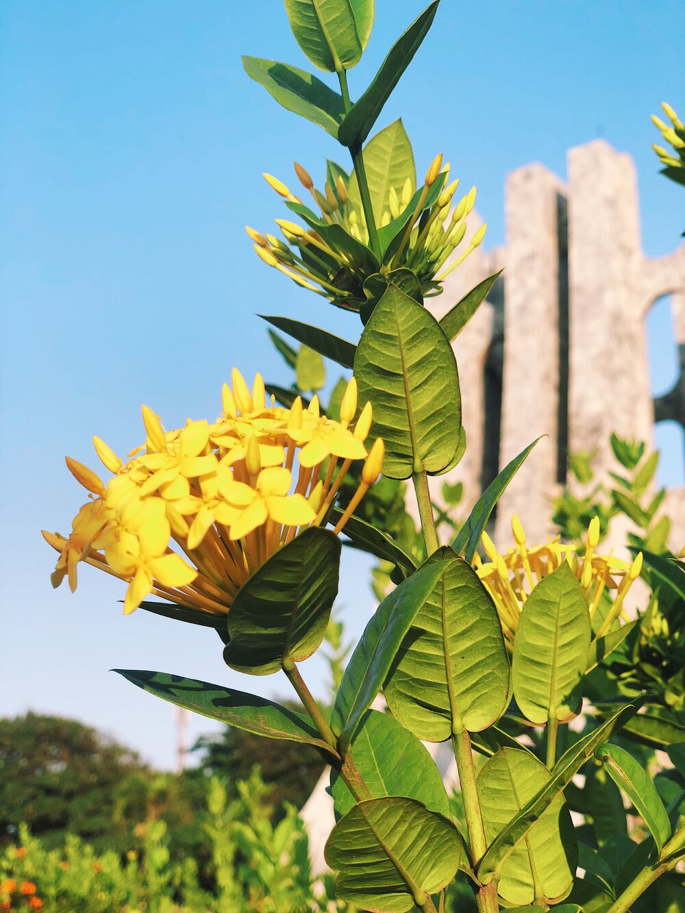 Kwame Nkrumah  Memorial Park.