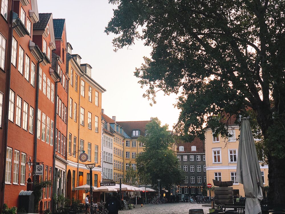 View around the corner from AAMANS.